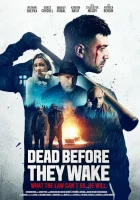 Умереть, не проснувшись (2025) смотреть онлайн в HD