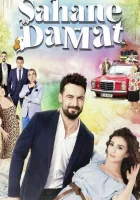  Замечательный зять (2016) смотреть онлайн в HD