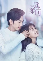  Любовники из волшебной страны (2020) смотреть онлайн в HD