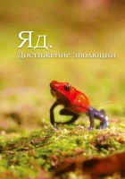  Яд. Достижение эволюции (2015) смотреть онлайн в HD