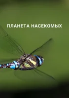  Планета насекомых (2022) смотреть онлайн в HD
