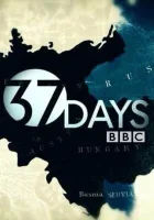  37 дней (2014) смотреть онлайн в HD