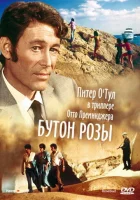  Бутон розы смотреть онлайн фильм 1975 в HD