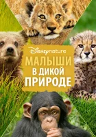  Малыши в дикой природе смотреть онлайн фильм 2016 в HD