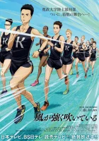  Почувствуй ветер смотреть онлайн аниме сериал 2018 в HD