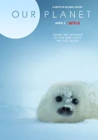  Наша планета смотреть онлайн тв шоу 2019 в HD