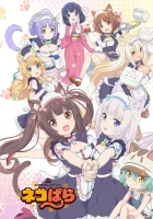  Кошачий рай смотреть онлайн аниме сериал 2020 в HD