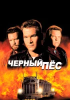  Черный пес смотреть онлайн фильм 1998 в HD
