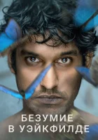  Безумие в Уэйкфилде смотреть онлайн сериал 2021 в HD