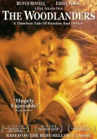  В краю лесов смотреть онлайн фильм 1997 в HD