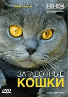  BBC: Загадочные кошки смотреть онлайн фильм 2002 в HD