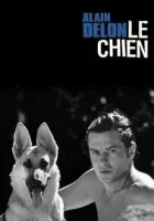  Пес смотреть онлайн фильм 1962 в HD