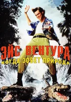  Эйс Вентура 2: Когда зовет природа смотреть онлайн фильм 1995 в HD