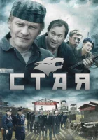  Стая смотреть онлайн сериал 2009 в HD