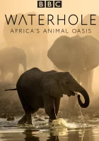  BBC. Водопой: Африканский Оазис для Животных Life at the Waterhole смотреть онлайн тв шоу 2020 в HD