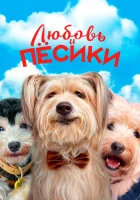  Любовь и пёсики смотреть онлайн фильм 2023 в HD