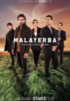  Дурная трава - (2021) смотреть онлайн в HD