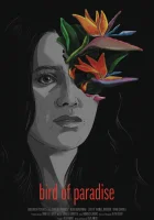  Райская пташка смотреть онлайн фильм 2023 в HD
