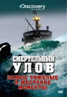  Смертельный улов смотреть онлайн тв шоу 2005 в HD