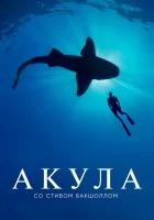  Акула со Стивом Бакшоллом смотреть онлайн тв шоу 2021 в HD