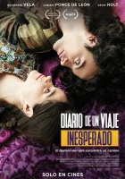  По следам дневника смотреть онлайн фильм 2023 в HD