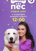  Лучший пёс смотреть онлайн тв шоу 2020 в HD