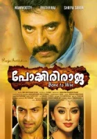  Неустрашимый Раджа смотреть онлайн фильм 2010 в HD