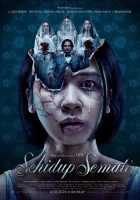  Пока смерть не разлучит смотреть онлайн фильм 2024 в HD