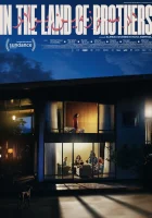  В стране братьев смотреть онлайн фильм 2024 в HD