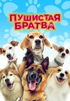  Пушистая братва смотреть онлайн фильм 2023 в HD