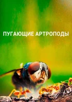  Пугающие артроподы смотреть онлайн тв шоу 2021 в HD