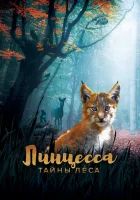  Линцесса. Тайны леса смотреть онлайн фильм 2023 в HD