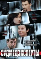  Судмедэксперты - Личные мотивы (2010) смотреть онлайн в HD