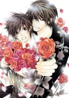  Лучшая в мире первая любовь смотреть онлайн аниме сериал 2011 в HD