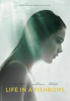  Жизнь на виду смотреть онлайн фильм 2014 в HD