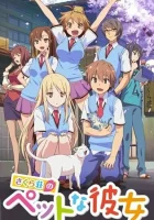  Кошечка из Сакурасо The Pet Girl of Sakurasou смотреть онлайн аниме сериал 2012 в HD