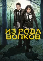  Из рода волков Волчья кровь смотреть онлайн сериал 2012 в HD