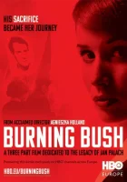  Неопалимая купина смотреть онлайн сериал 2013 в HD