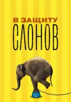  В защиту слонов смотреть онлайн фильм 2013 в HD