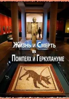  Жизнь и смерть в Помпеях и Геркулануме смотреть онлайн тв шоу 2013 в HD