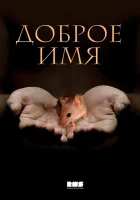  Доброе имя смотреть онлайн сериал 2014 в HD