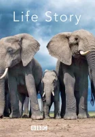  История жизни - (2014) смотреть онлайн в HD
