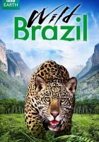  Дикая Бразилия смотреть онлайн тв шоу 2014 в HD