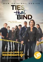  Кровные узы Detective McLean смотреть онлайн сериал 2015 в HD