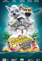  Белка и Стрелка: Карибская тайна смотреть онлайн мультфильм 2020 в HD
