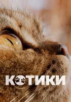  Котики смотреть онлайн фильм 2022 в HD