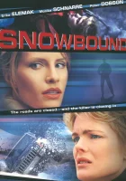  Занесенный снегом смотреть онлайн фильм 2001 в HD